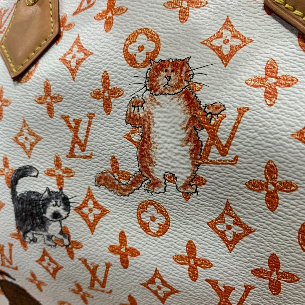 ❌EXCLUSIVE Louis Vuitton Catogram Speedy White Bag - Picture 8 of 14